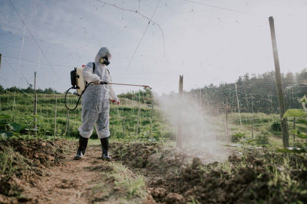 Best Pest Removal Services  in Dardenne Prairie, MO