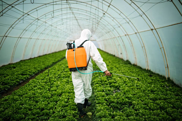 Best Best Pest Control Near Me  in Dardenne Prairie, MO