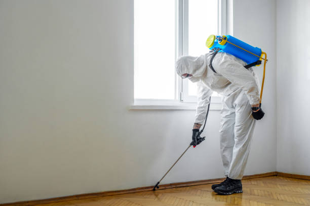 Best Affordable Pest Control Services  in Dardenne Prairie, MO