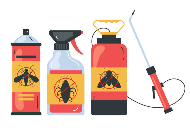 Best Ant Control Services  in Dardenne Prairie, MO