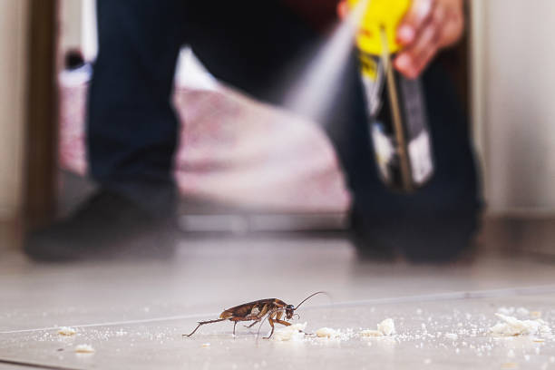 Reliable Dardenne Prairie, MO Pest Control Solutions