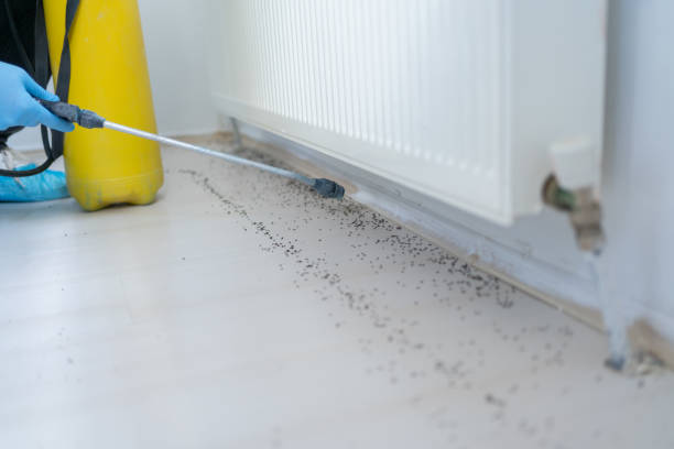 Best Pest Inspection Near Me  in Dardenne Prairie, MO