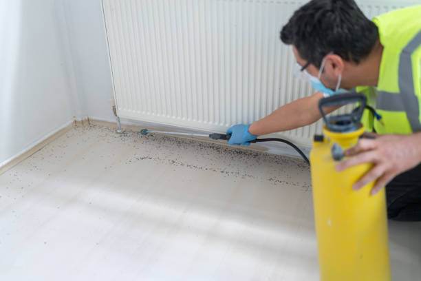 Best Affordable Pest Control Services  in Dardenne Prairie, MO