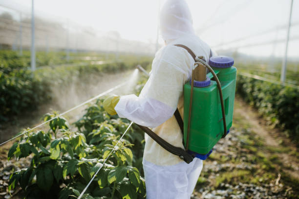 Best Best Pest Control Companies  in Dardenne Prairie, MO